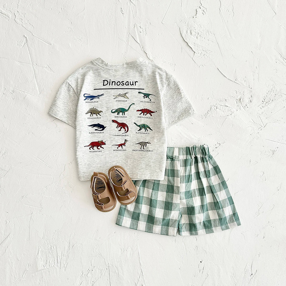 Dinosaur Set